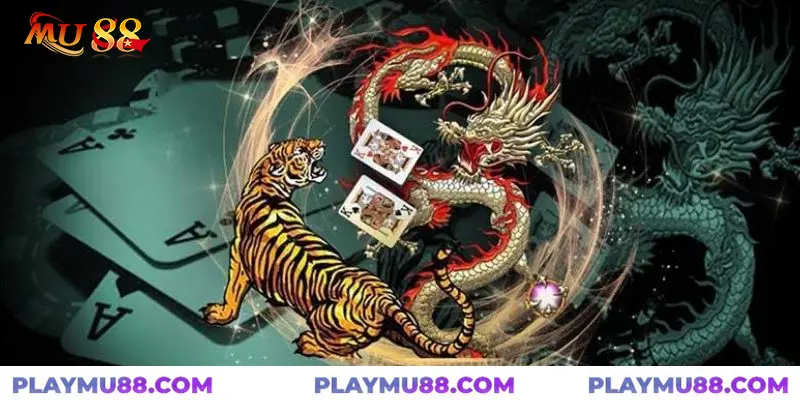 Từ ngữ thường dùng trong Dragon Tiger mà bạn nên tham khảo